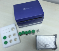 喹乙醇酶联免疫试剂盒