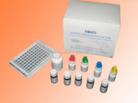 猪伪狂犬病毒gE蛋白抗体检测试剂盒