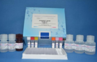 猪繁殖与呼吸综合征病毒抗体检测试剂盒