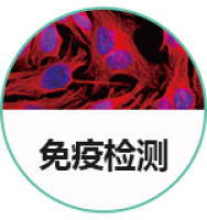 免疫学检测分析