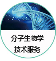 分子生物学服务