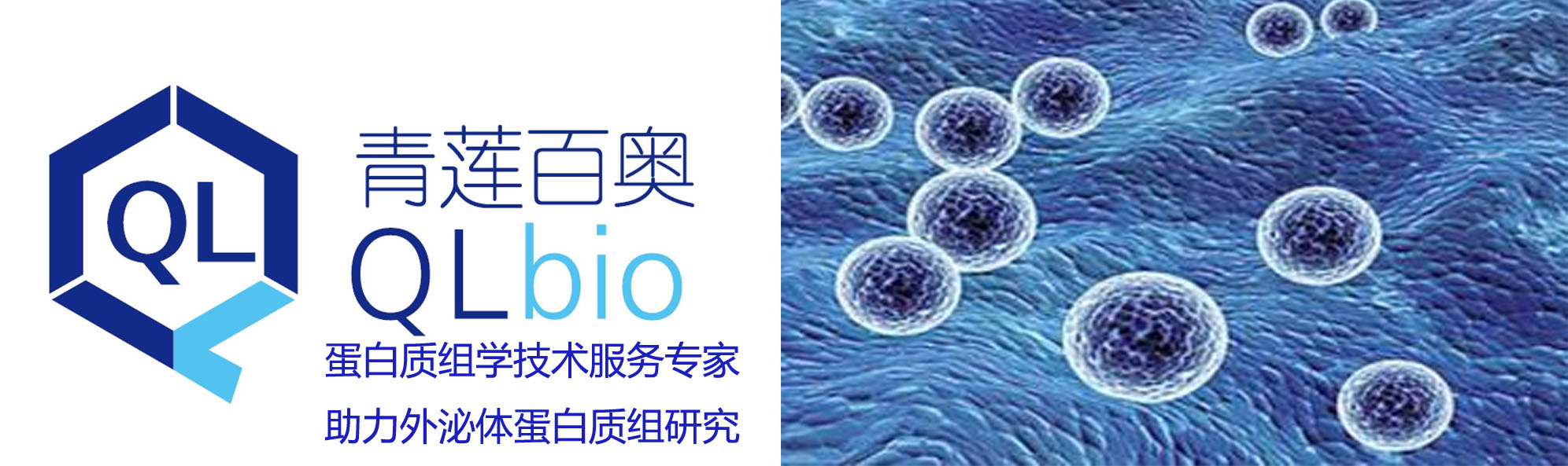 蛋白质组学技术助力外泌体研究