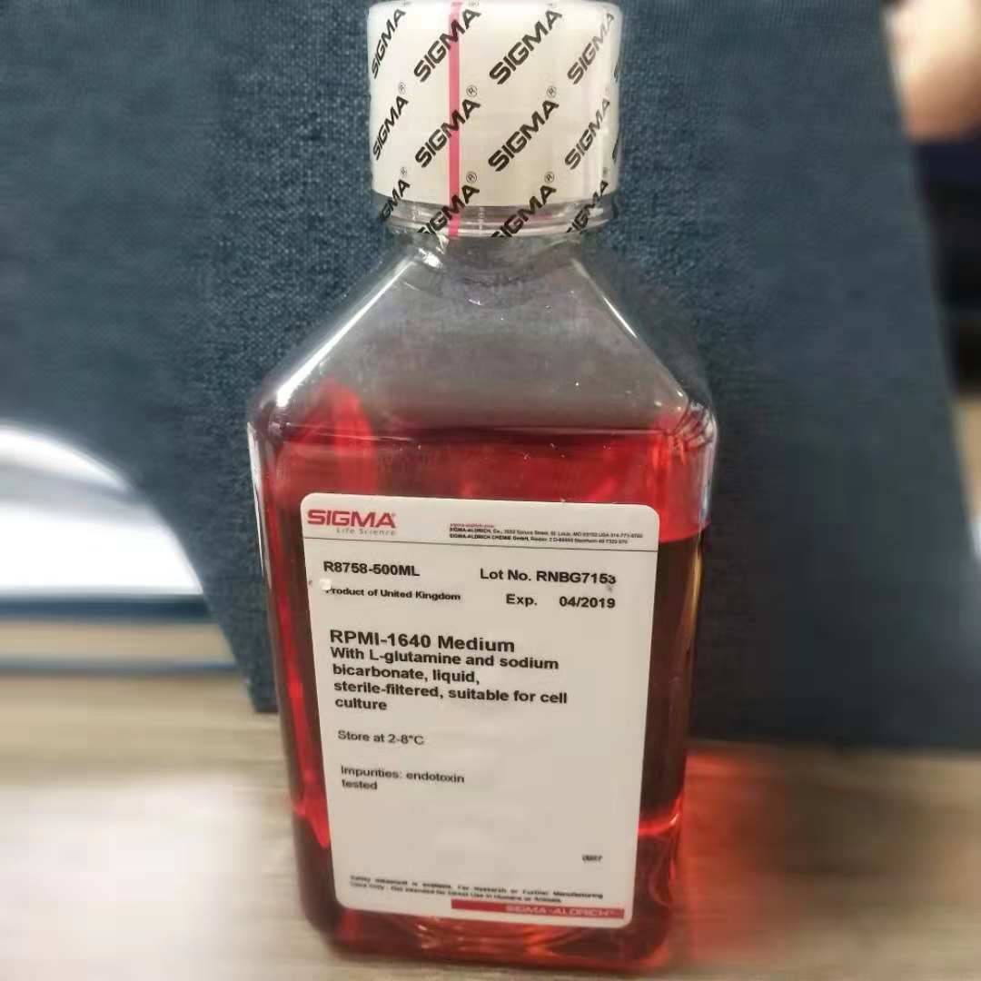 RPMI 1640，含L-谷氨酰胺和NaHCO3
