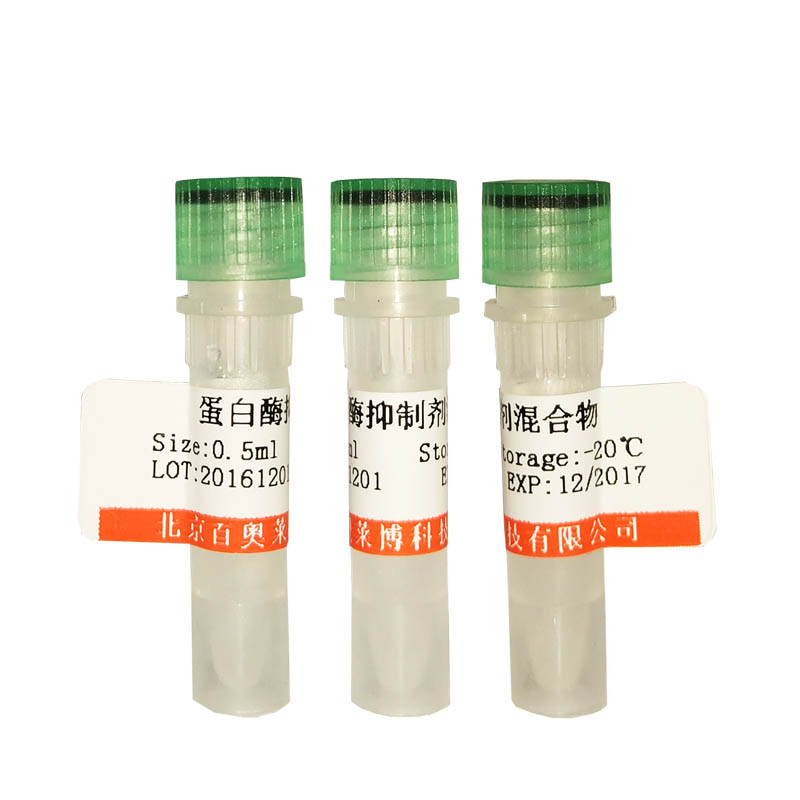 牛血清白蛋白标准品(BSA标准品)(2mg/mL)