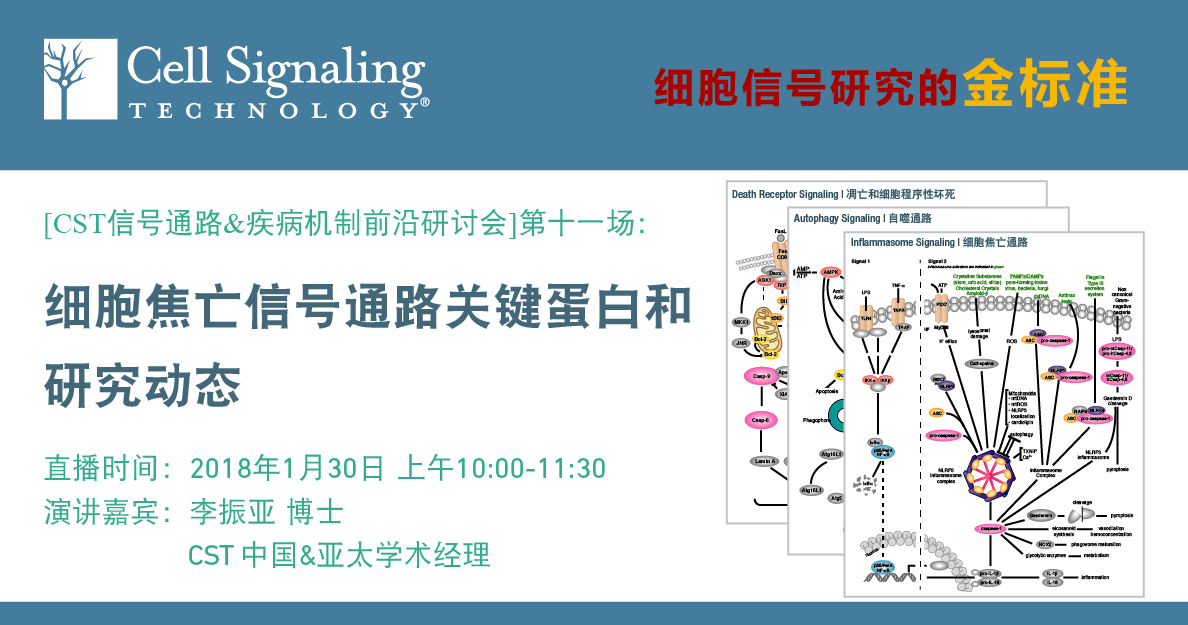 CST Webinar丨细胞焦亡信号通路关键蛋白和研究动态