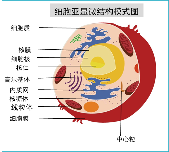 好的流式数据要选对的标记方案