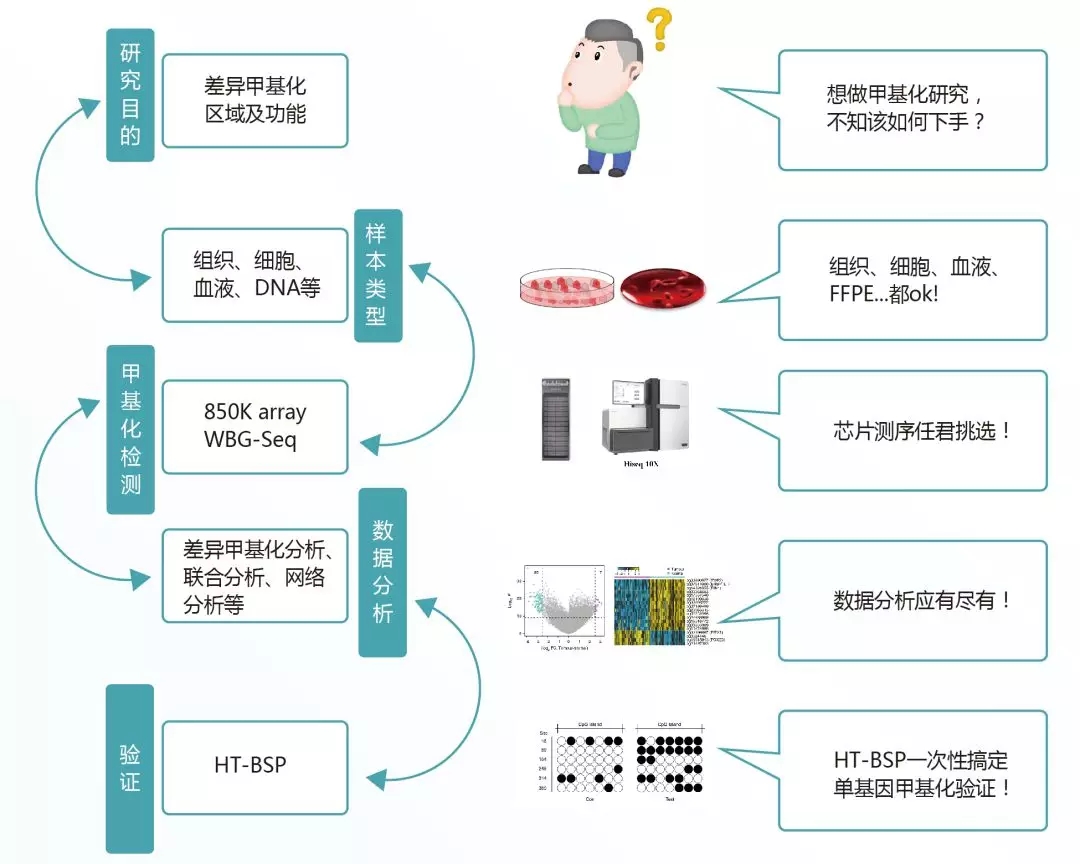 中康博生物推出DNA甲基化檢測、分析、驗證三合一服務!