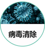 病毒清除工艺验证服务