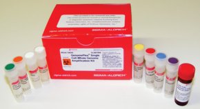 WGA4 GenomePlex® 单细胞全基因组扩增试剂盒