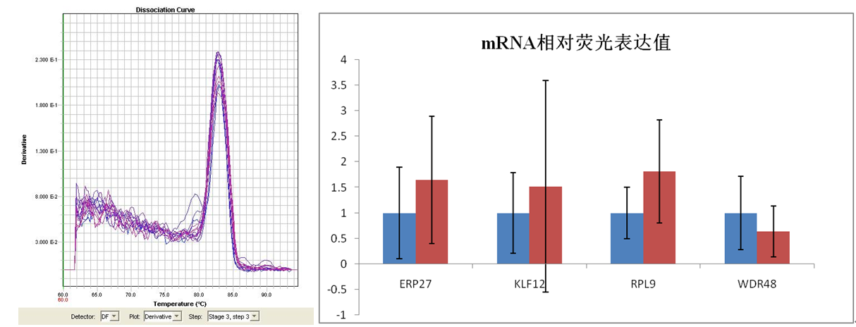 mRNA實時熒光定量PCR檢測