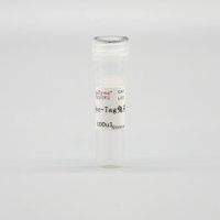 LF302 Myc-Tag兔多克隆抗体