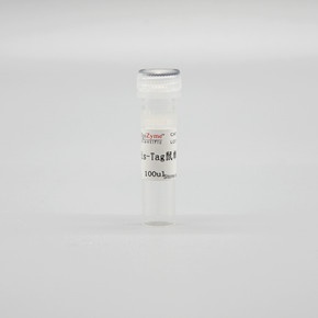 LF307 His-Tag鼠单克隆抗体