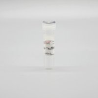 LF307 His-Tag鼠单克隆抗体