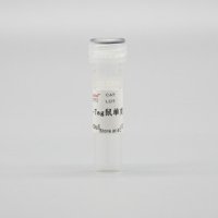 LF301 Myc-Tag鼠单克隆抗体