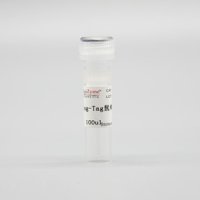 LF303 DYKDDDDK-Tag鼠单克隆抗体(原FLAG Tag)