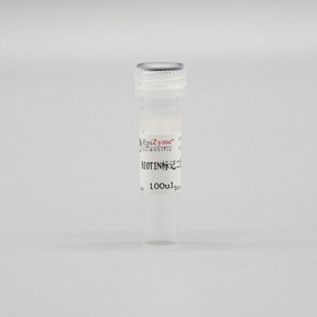 LF103 BIOTIN标记二抗，山羊抗小鼠IgG