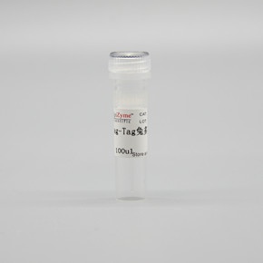 LF304 DYKDDDDK-Tag兔多克隆抗体（原FLAG Tag）