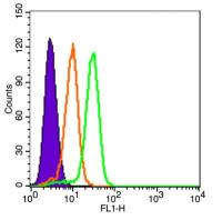 FITC标记的高密度脂蛋白受体/清道夫受体抗体