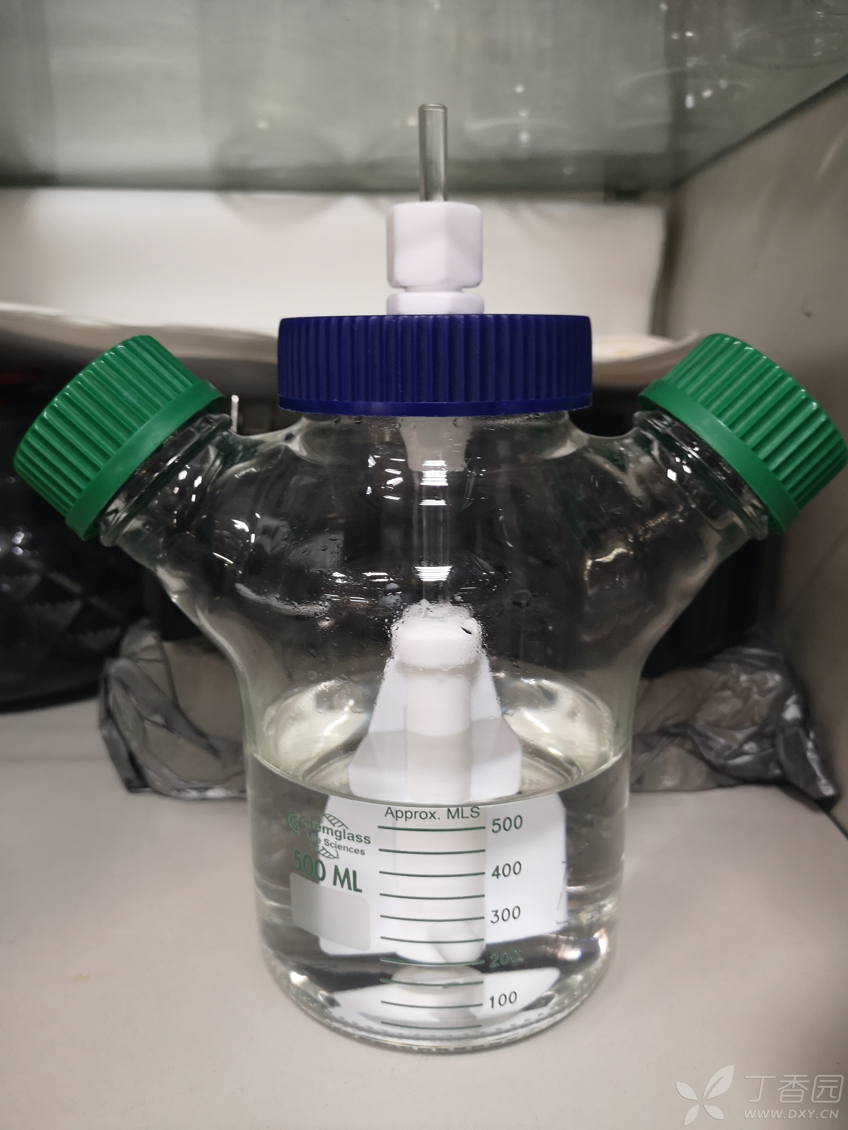 磁力搅拌器培养瓶——培养悬浮细胞(293f)的转速有推荐的吗?