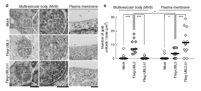 【文献解读】Nature子刊！外泌体蛋白质组经典好文！