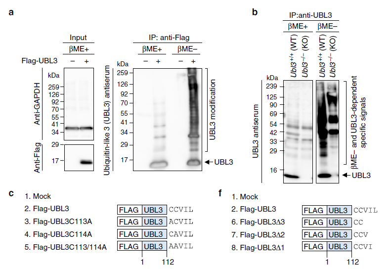 【文献解读】Nature子刊！外泌体蛋白质组经典好文！