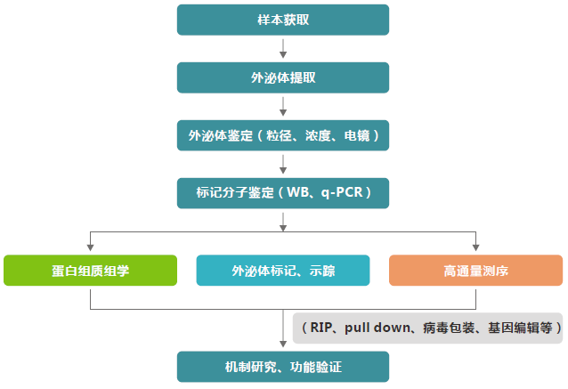 【文献解读】Nature子刊!外泌体蛋白质组经典好文!