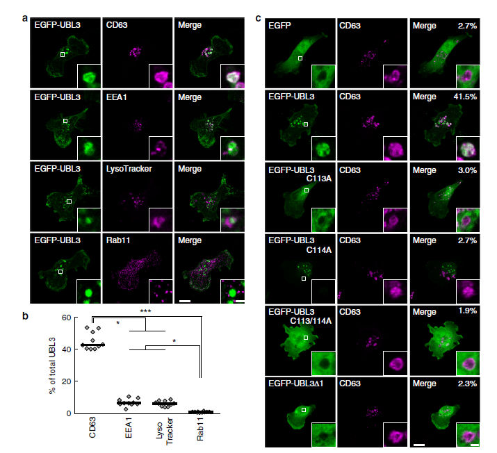 【文献解读】Nature子刊！外泌体蛋白质组经典好文！