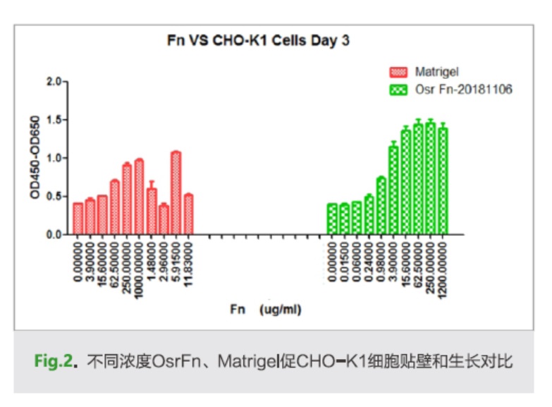 重组和天然血液提取的纤维连接蛋白fibronectin Fn对细胞生长效果对比 公司新闻 武汉禾元生物科技股份有限公司 丁香通