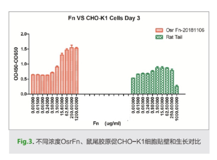 重组和天然血液提取的纤维连接蛋白fibronectin Fn对细胞生长效果对比 公司新闻 武汉禾元生物科技股份有限公司 丁香通