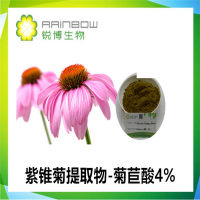 紫锥菊提取物，菊苣酸4%