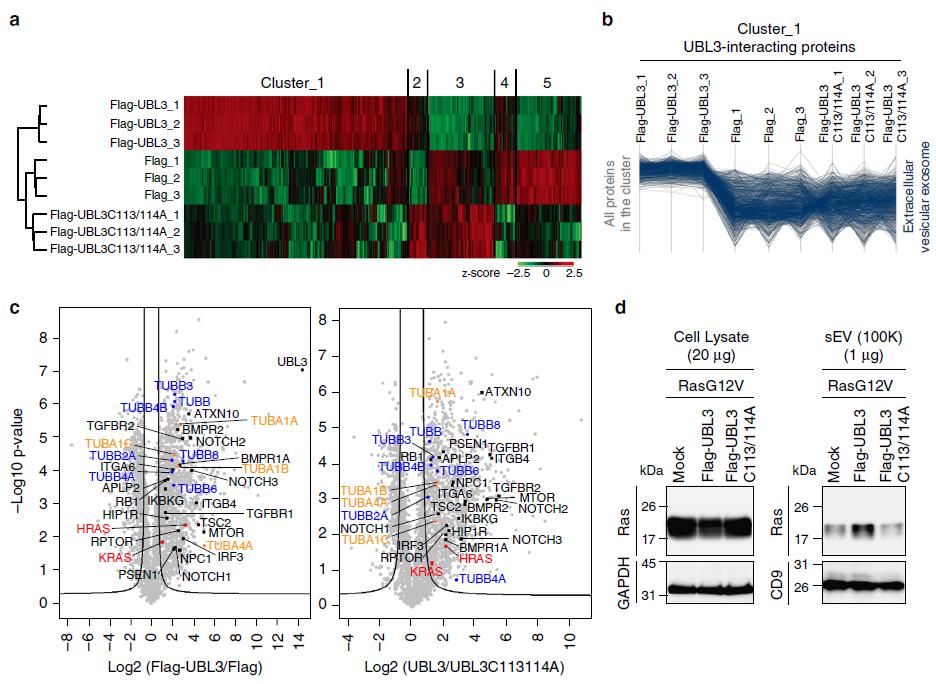 【文献解读】Nature子刊！外泌体蛋白质组经典好文！