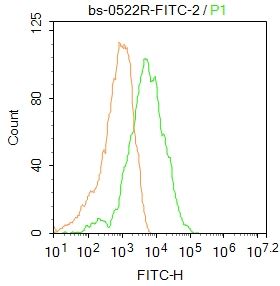 FITC标记的白细胞共同抗原CD45抗体