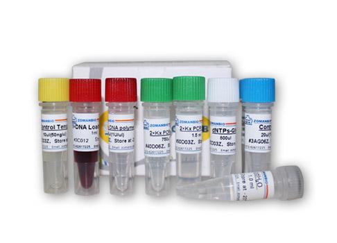 Cyprinid Herpesvirus (CyHV-II)鲤疱疹病2型PCR试剂盒规格