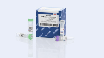 miScript SYBR® Green PCR Kit