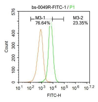 FITC标记的活化半胱胺酸蛋白酶蛋白-9抗体
