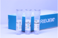 ASO-lncRNA/circRNA/基因