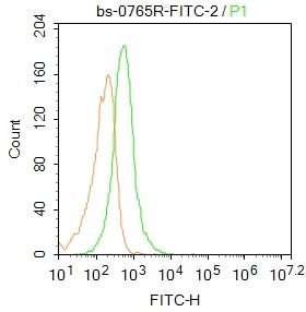 FITC标记的CD3/CD3-ε 抗体