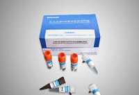 BK病毒(BK Virus、BKV) PCR试剂盒费用