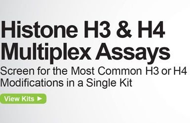 组蛋白修饰试剂盒（血清血浆样品专用）EpiQuik Circulating Total Histone H3 Quantification Kit