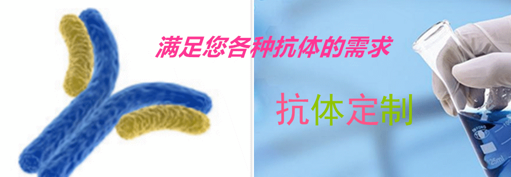 产品细节图片1