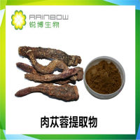 肉苁蓉提取物，西安锐博生物