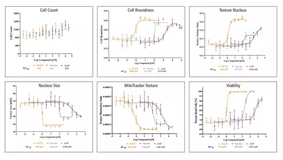 毒性研究从 2D 到 3D 系列(一):原代细胞的故事