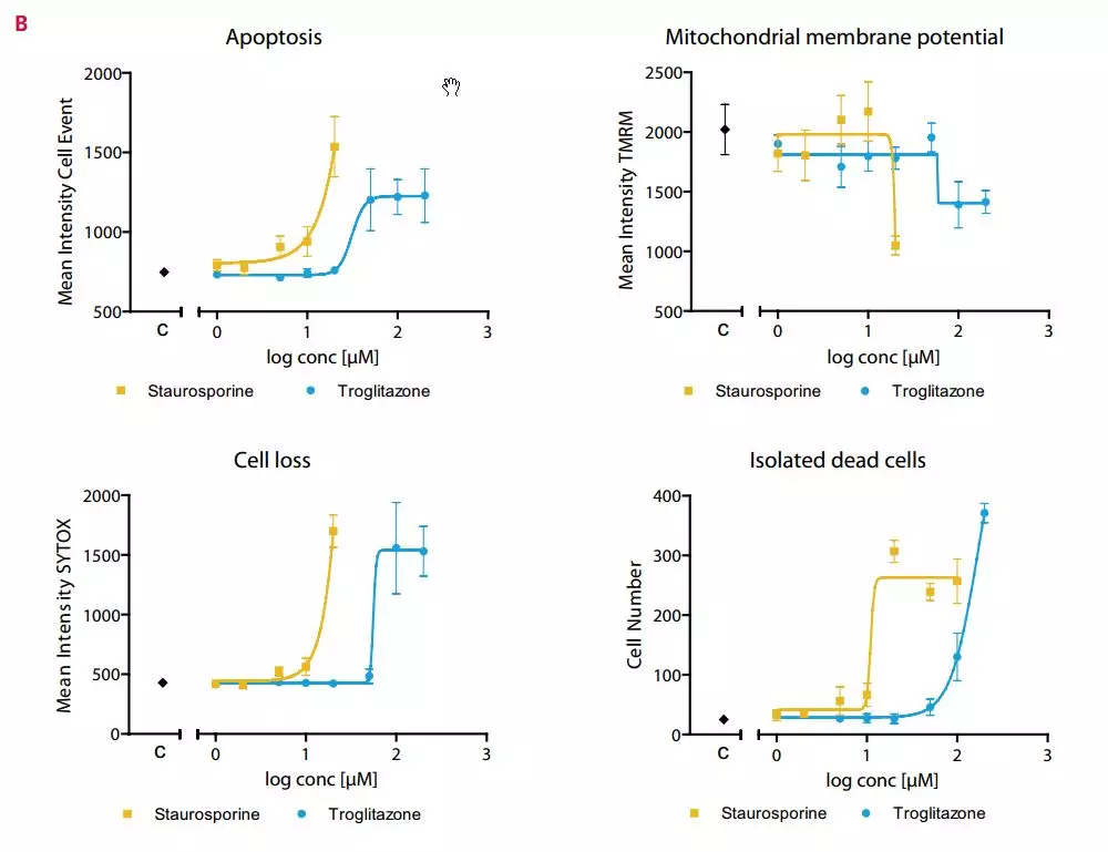 毒性研究从 2D 到 3D 系列（二）：3D 肝细胞球 1+1 大于 2 故事