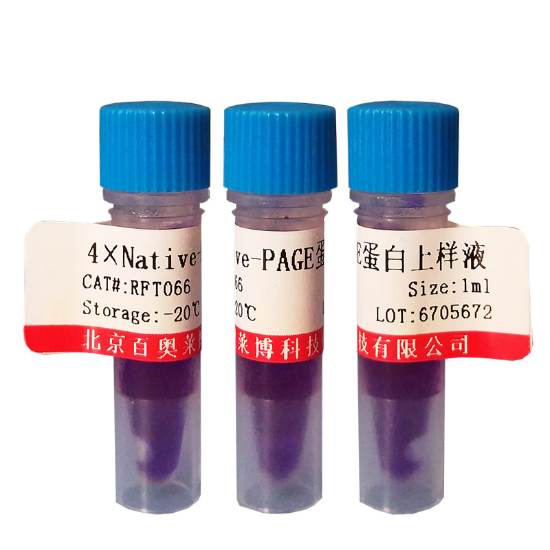 彩色预染蛋白质分子量标准(10-180kD)