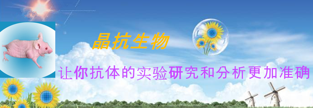 产品细节图片1