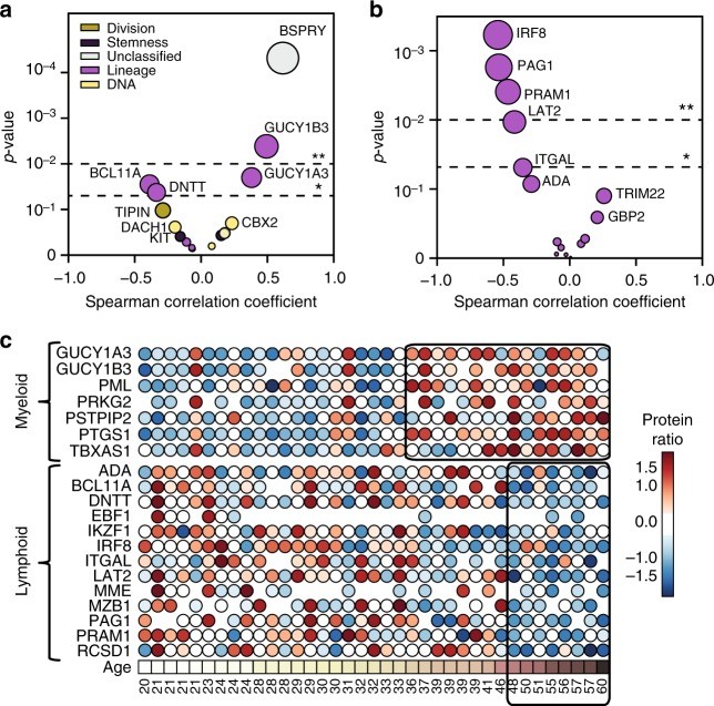 【文献解读】TMT+Label-free揭示细胞衰老分子机制