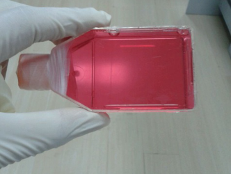 人肝癌组织源细胞试剂盒