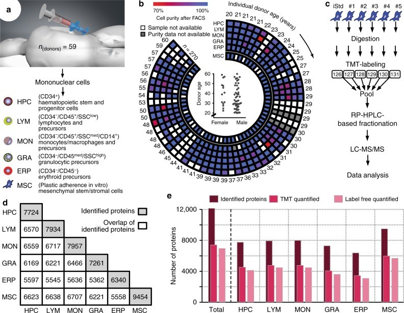 【文献解读】TMT+Label-free揭示细胞衰老分子机制