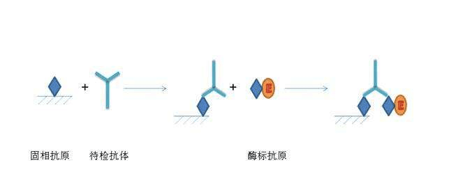 产品细节图片1