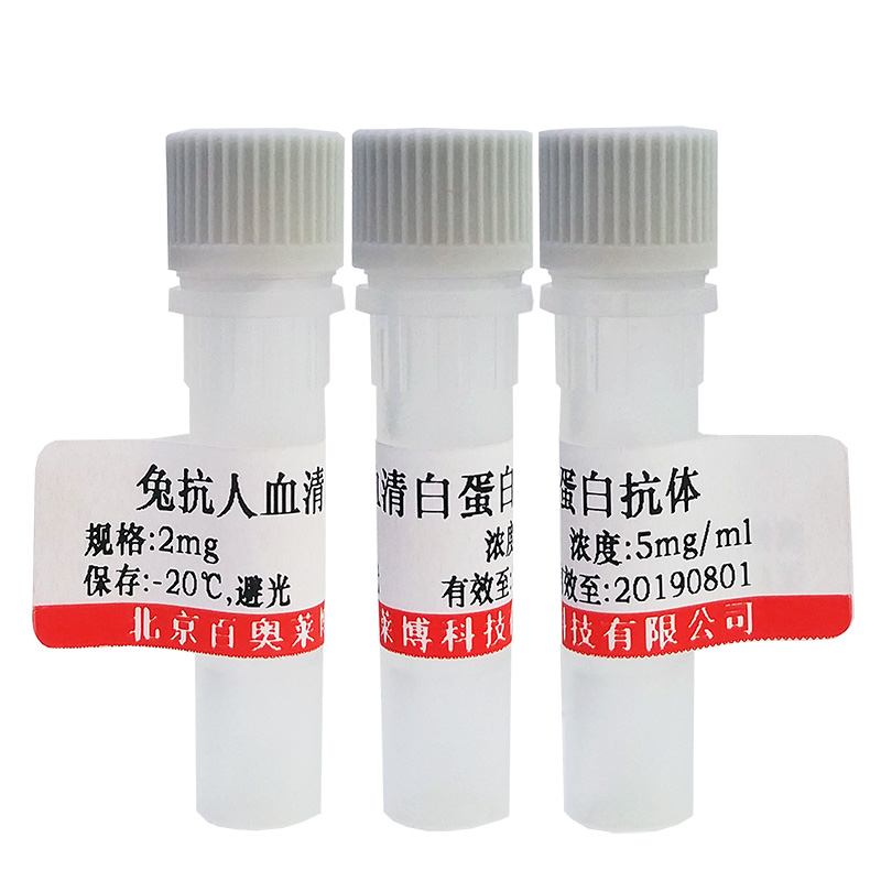BIOTIN标记山羊抗小鼠IgG2a抗体